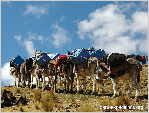 Peru: Trekking Cedros around the Nevados Alpamayo and Huascaran
