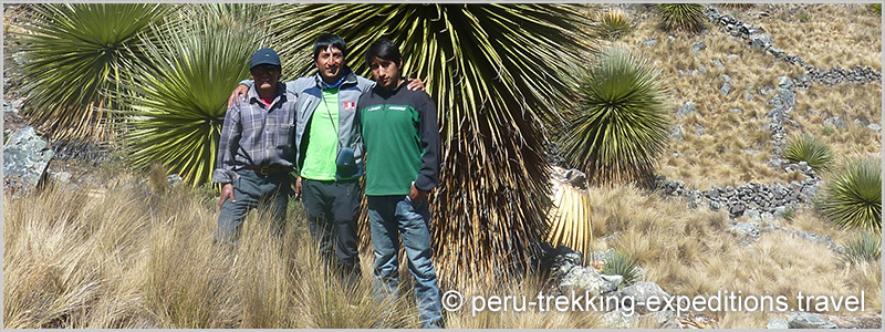 Peru: Bus-Tour Hiking Puyaraimondi (4300 m) and Glacier Pastoruri (5000 m)