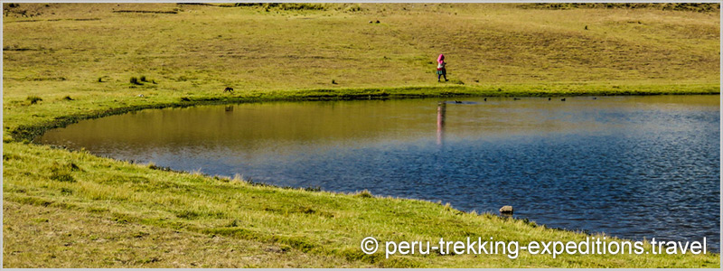 Peru: Trekking Laguna Churup Adventure over (4450 m)