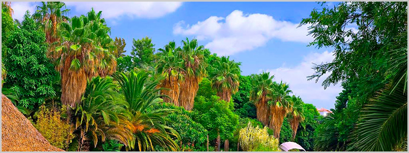 Peru: Combination with Cordillera Blanca - Archeology, Lagunas and the coast Trujillo, Casma and Chiclayo